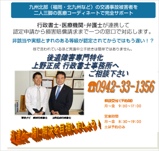高次脳機能障害の実績例 高次脳機能障害の実績例
